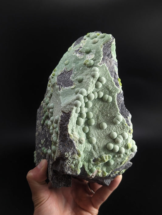A hand holds a striking green and gray mineral specimen featuring numerous small, rounded, light-green nodules clustered across its surface.