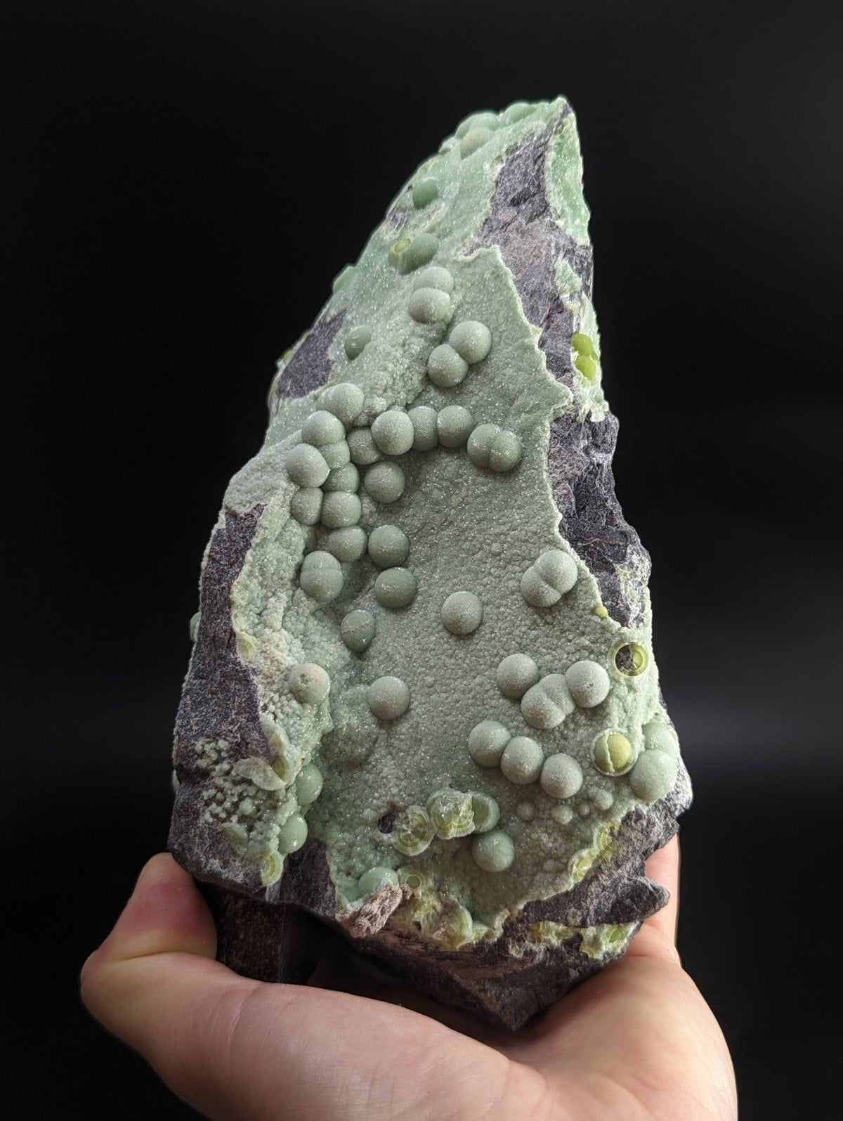 A hand holds a striking greenish-gray mineral specimen featuring clusters of rounded, bead-like formations against a darker, textured matrix.