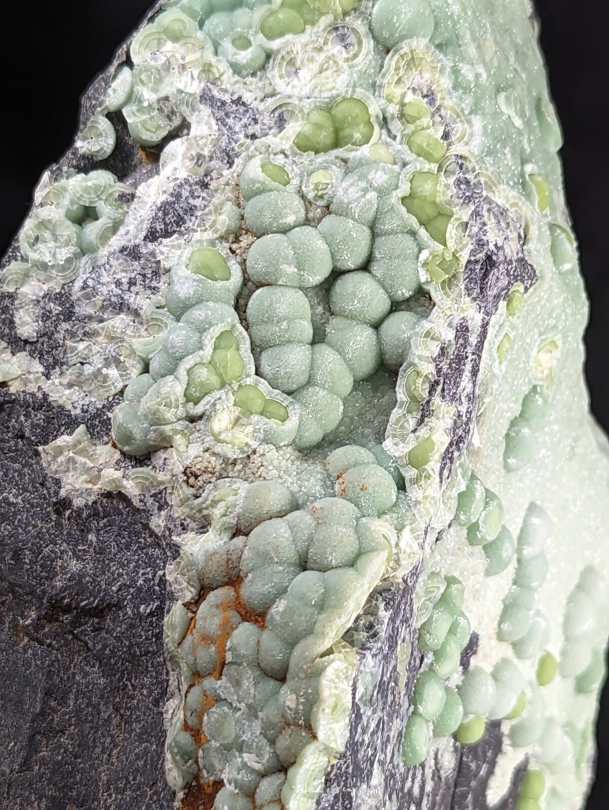 A cluster of pale green, bead-like mineral formations grows in a textured matrix with white and dark gray veining.