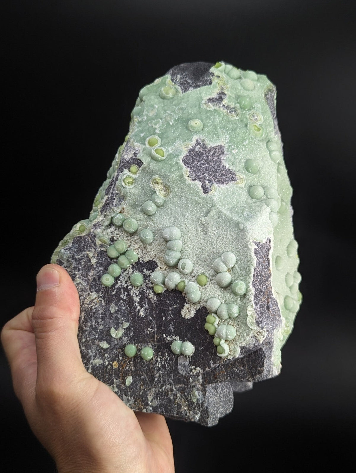 A hand holds a dark gray rock specimen featuring clusters of light green, spherical mineral formations with some darker patches and subtle white veining.