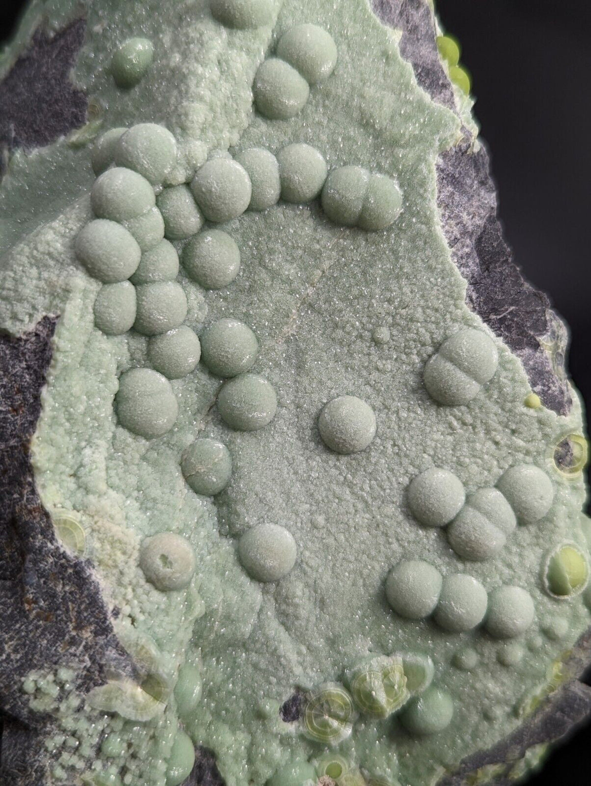 A cluster of pale green, spherical mineral formations grows in a textured matrix on a darker rock surface.