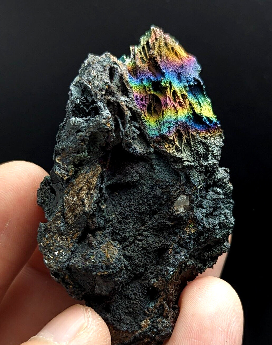 A striking black iron meteorite with a vibrant, iridescent rainbow sheen on its surface.