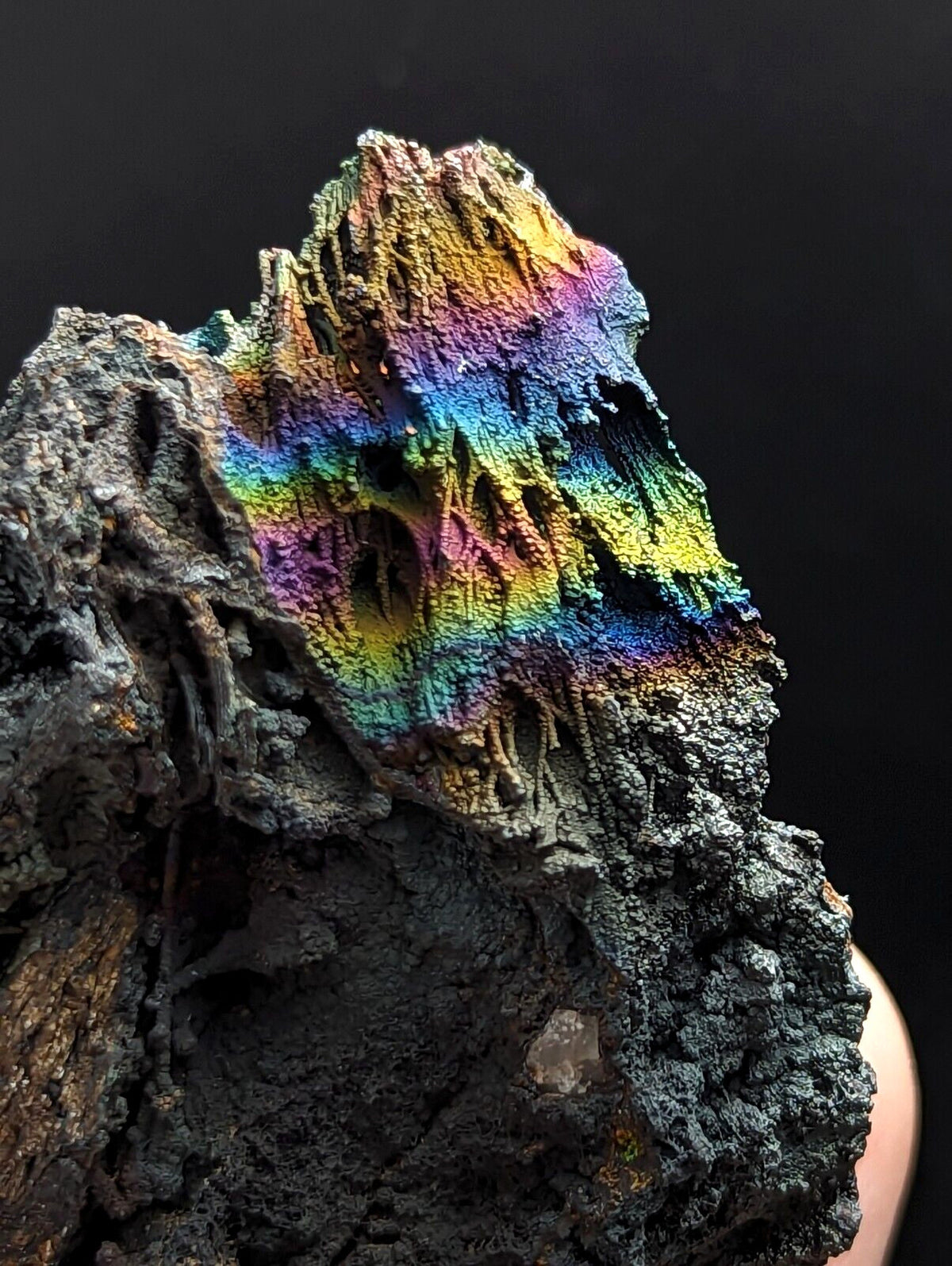 A striking, naturally occurring mineral specimen with a rugged, textured surface displaying vibrant rainbow iridescence against its dark, porous base.