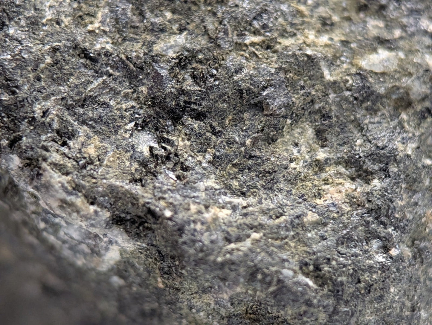 Rough dark gray jacupirangite rock with lighter mineral speckles and coarse texture from magnet cove arkansas unique old stock