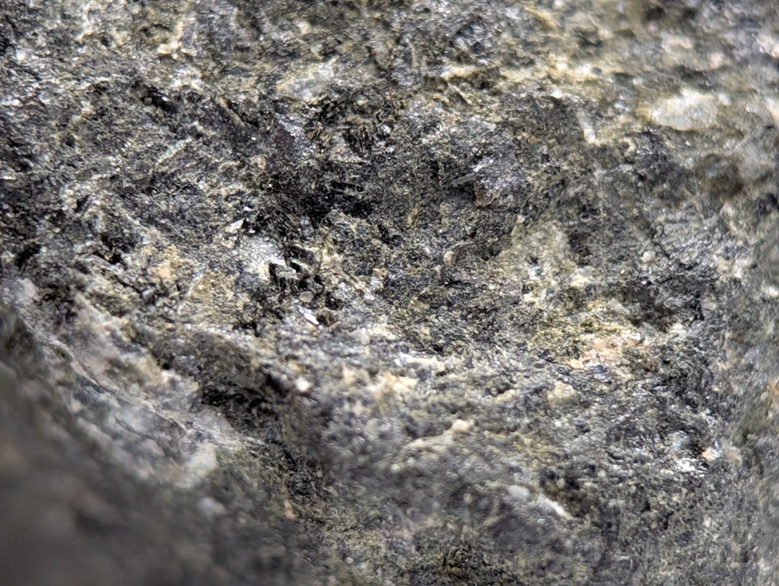 Rough dark gray jacupirangite rock with lighter mineral speckles and coarse texture from magnet cove arkansas unique old stock