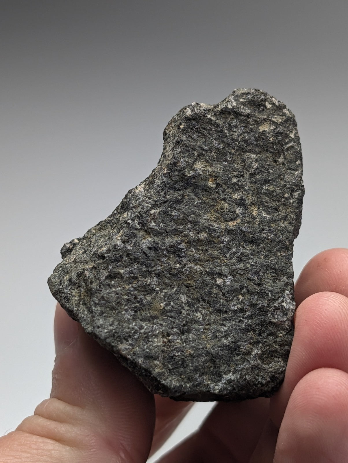 A dark gray rough-textured jacupirangite rock with jagged surface and speckled lighter patches from magnet cove arkansas