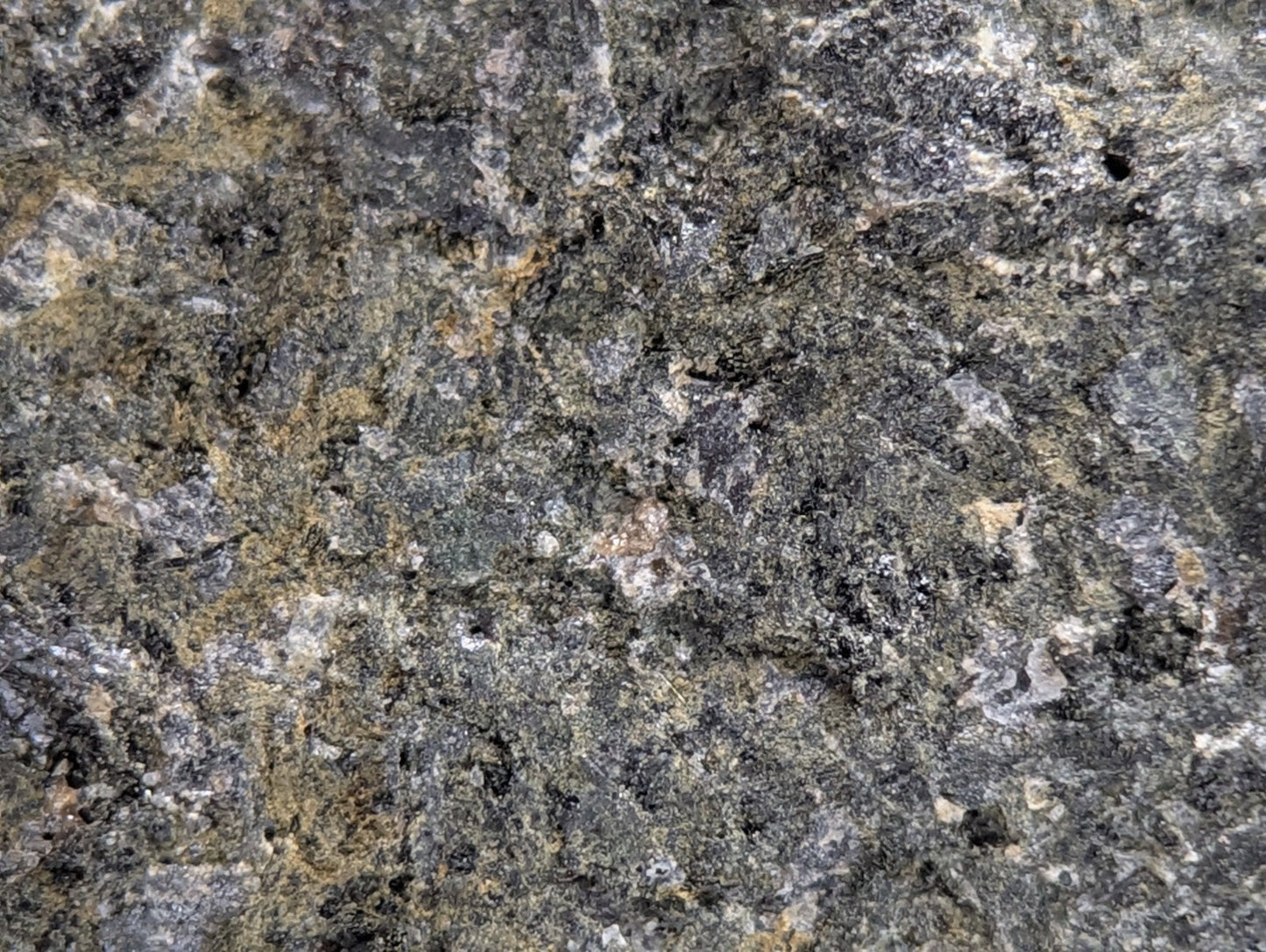 Dark gray jacupirangite granite surface with black white and golden-yellow speckles from magnet cove arkansas unique old stock