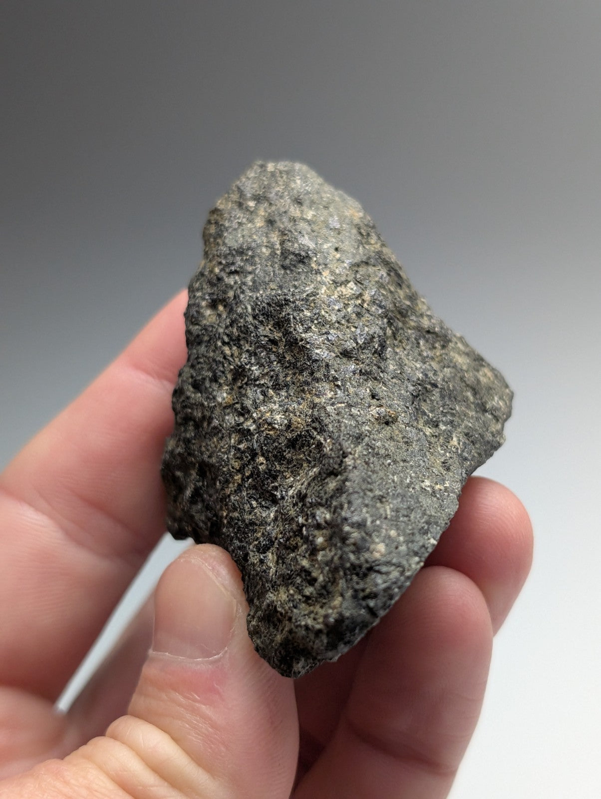A rough dark gray jacupirangite rock with textured surface held in hand from Magnet Cove Arkansas unique old stock