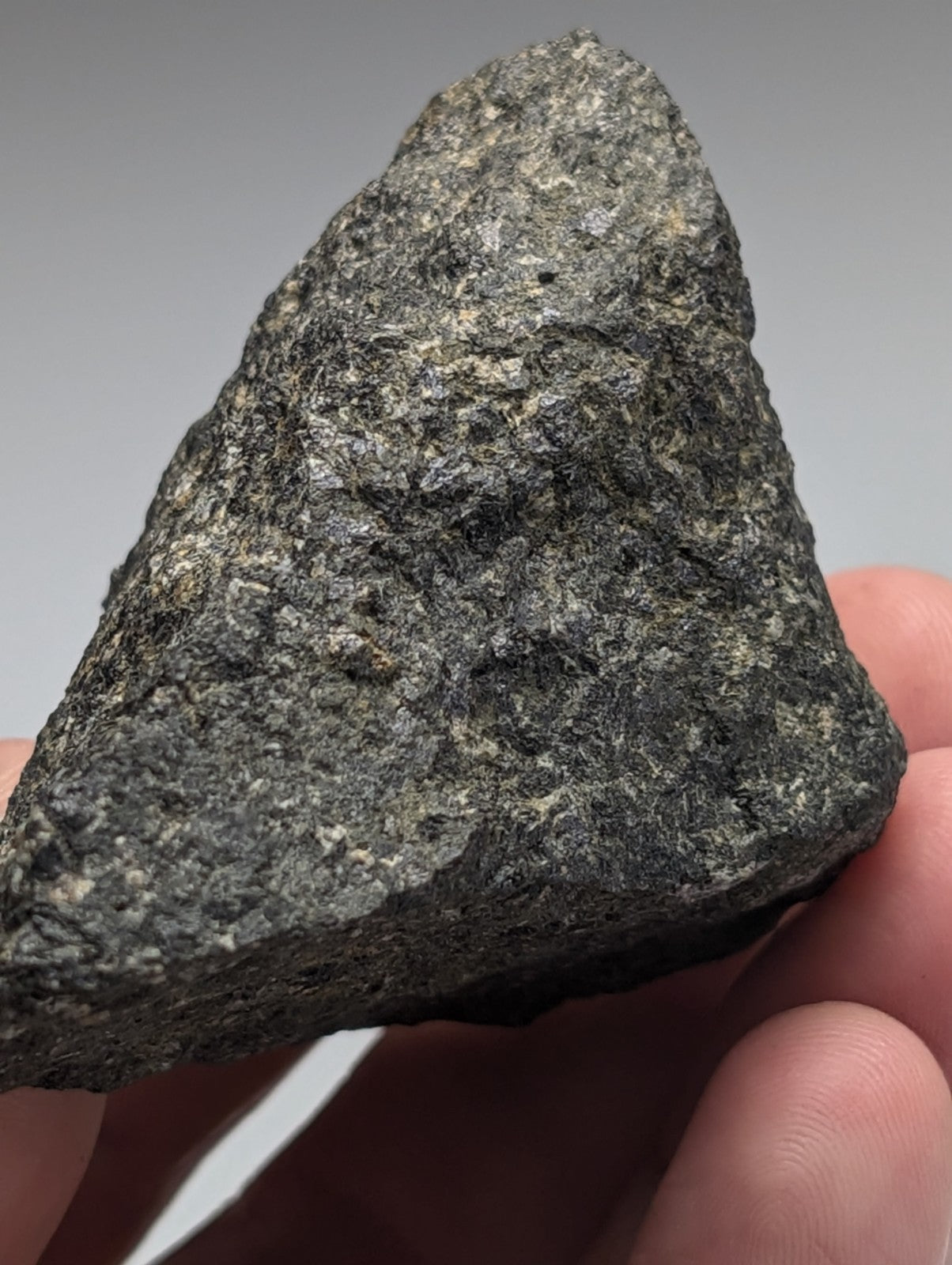 A dark rough-textured jacupirangite rock with speckled gray and black minerals from magnet cove Arkansas
