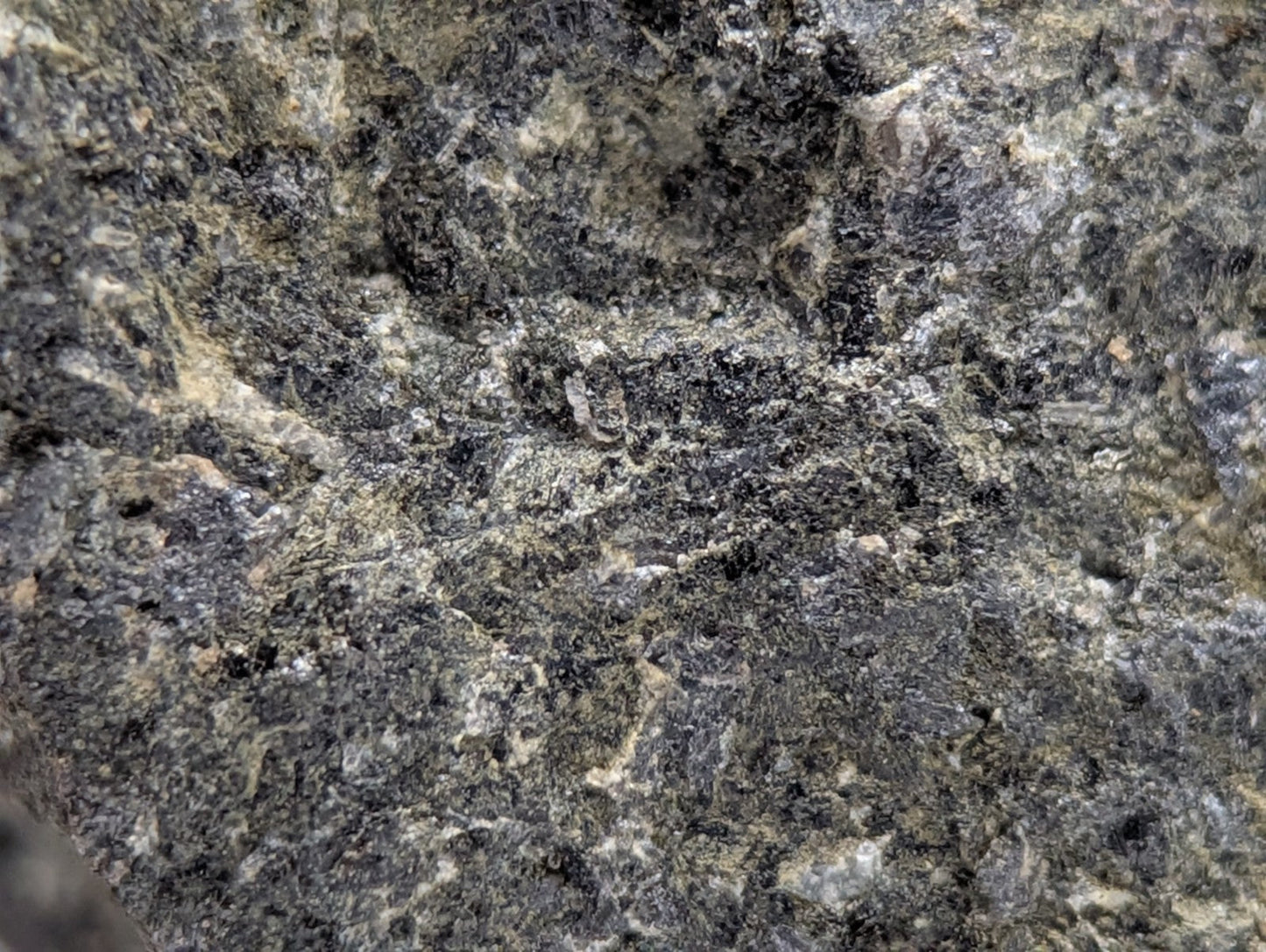 A rugged dark gray jacupirangite rock with black and beige mineral speckles from magnet cove hot spring county arkansas