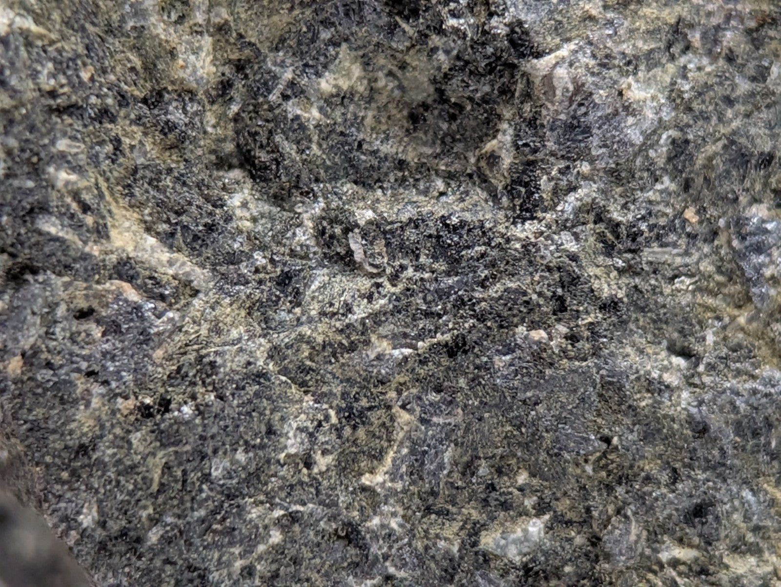 A rugged dark gray jacupirangite rock with black and beige mineral speckles from magnet cove hot spring county arkansas