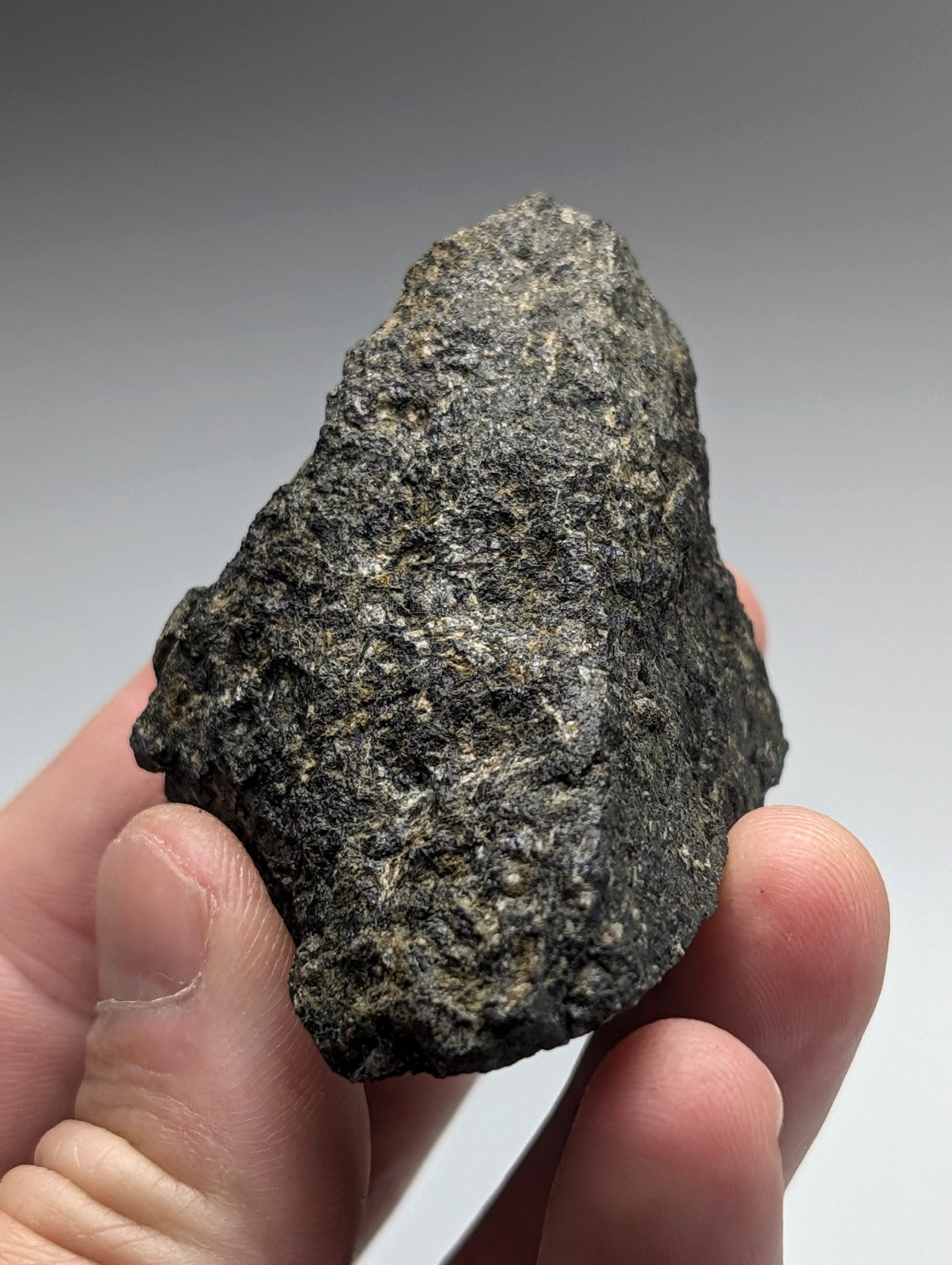 A rugged dark gray jacupirangite rock with a rough surface from magnet cove held gently in a hand