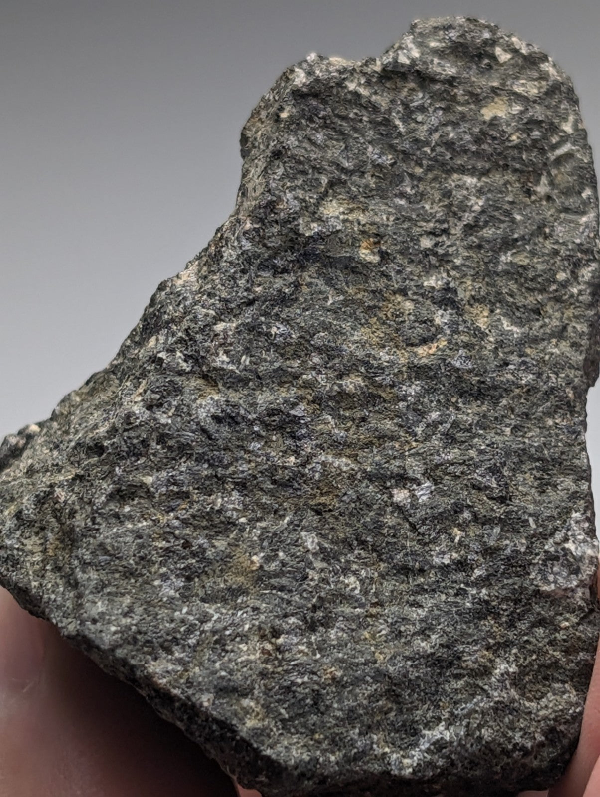 A rugged dark gray jacupirangite rock with a coarse textured surface and lighter mineral speckles from Magnet Cove Arkansas