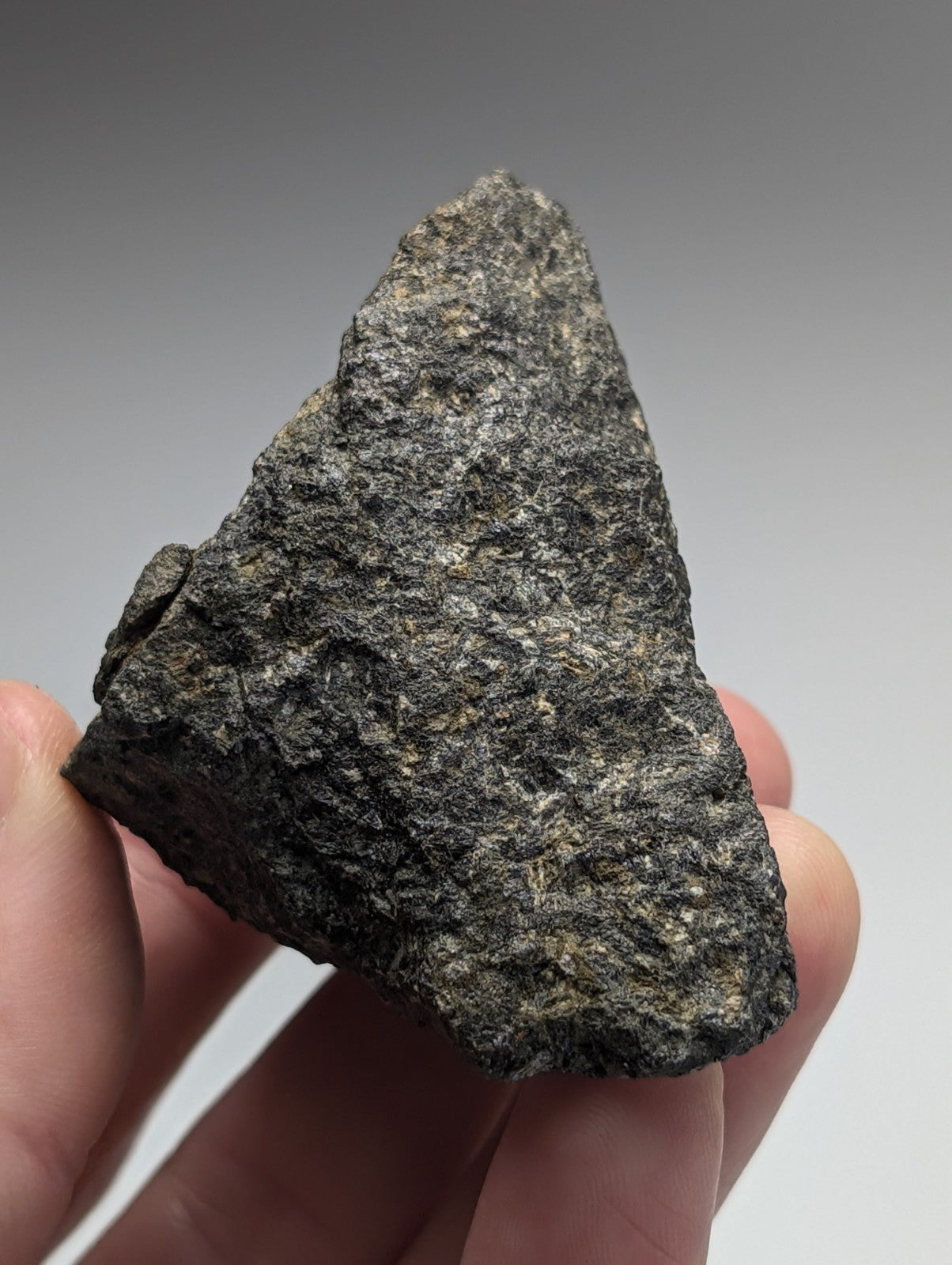 A rugged dark gray jacupirangite rock with a rough textured surface from Magnet Cove Hot Spring County Arkansas