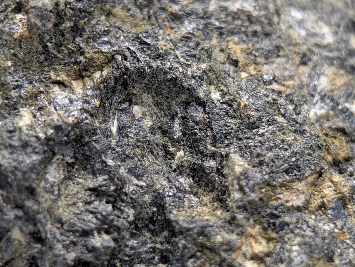 Jacupirangite rough dark gray rock with black and tan mineral veins from Magnet Cove Hot Spring County Arkansas unique old stock