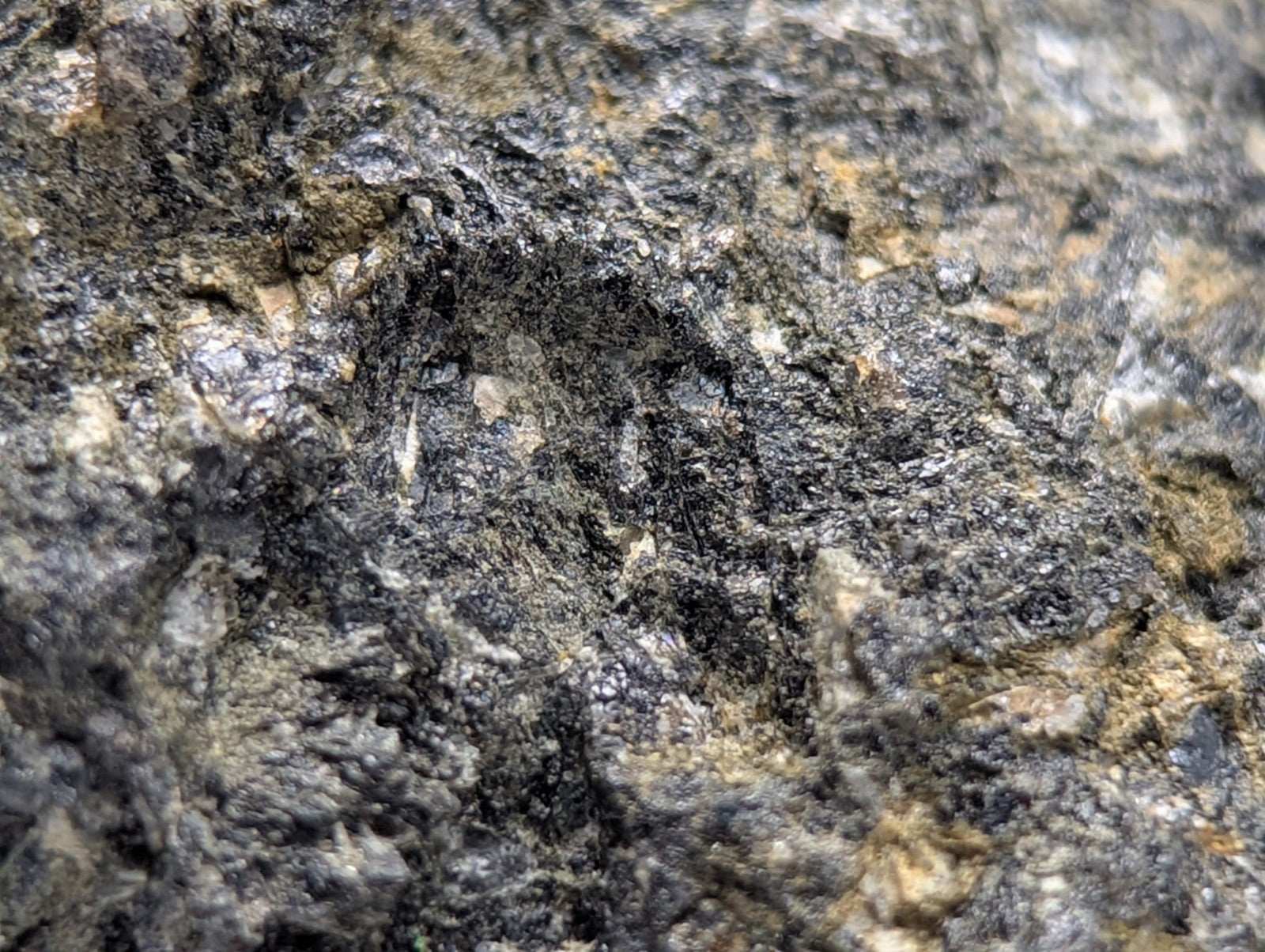 Jacupirangite rough dark gray rock with black and tan mineral veins from Magnet Cove Hot Spring County Arkansas unique old stock