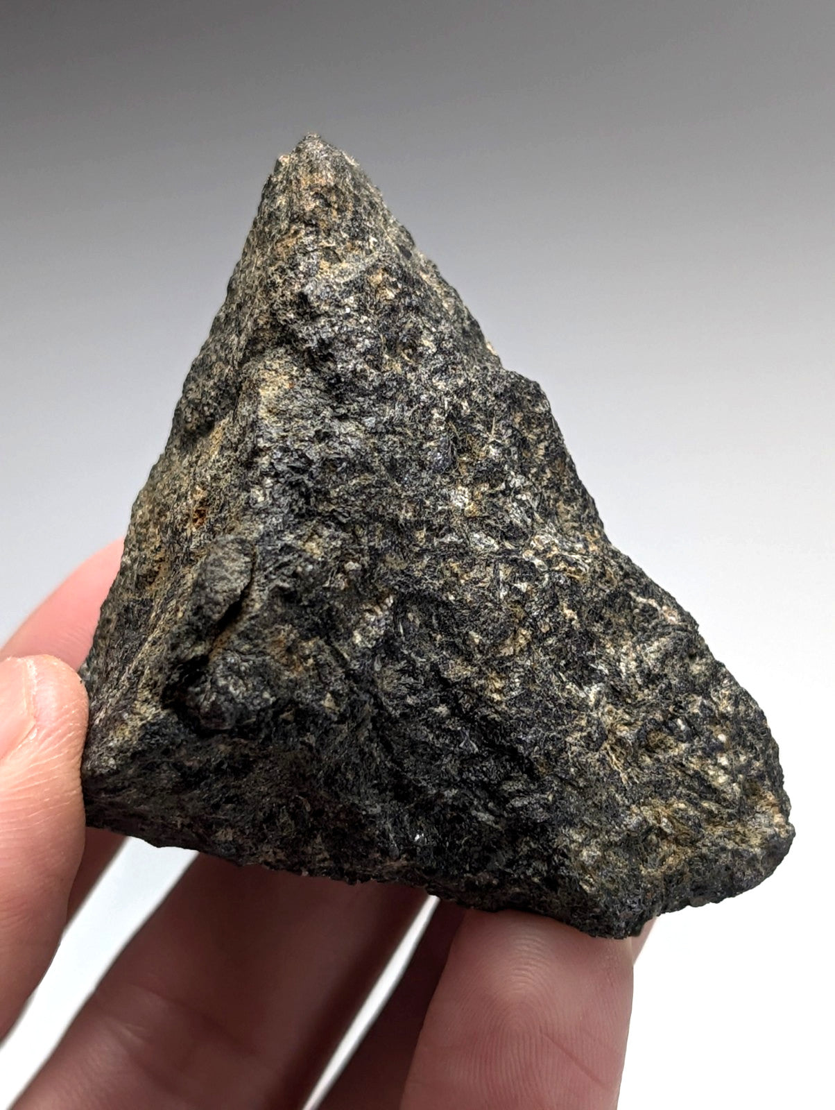 Jacupirangite rock from magnet cove arkansas with dark rough texture and speckled gray and black surfaces