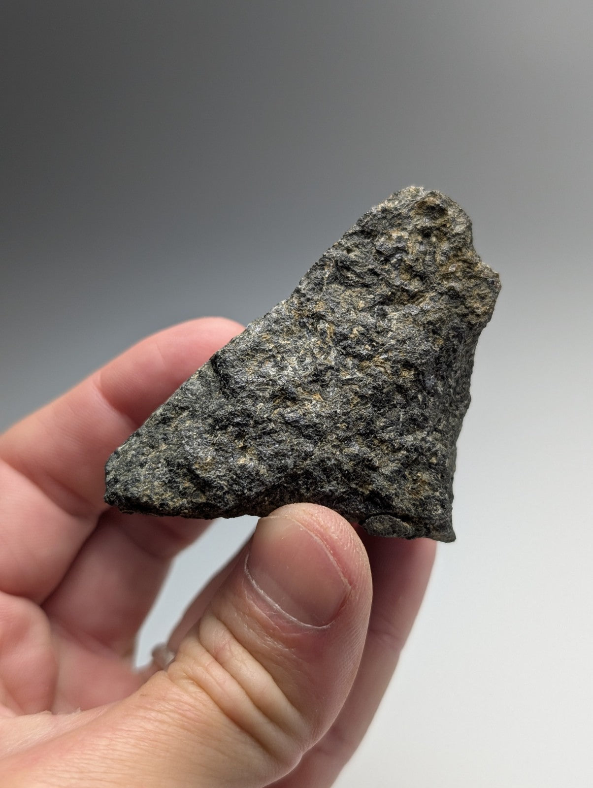 A dark jagged jacupirangite rock fragment with rough gray speckled surface from magnet cove hot spring county arkansas