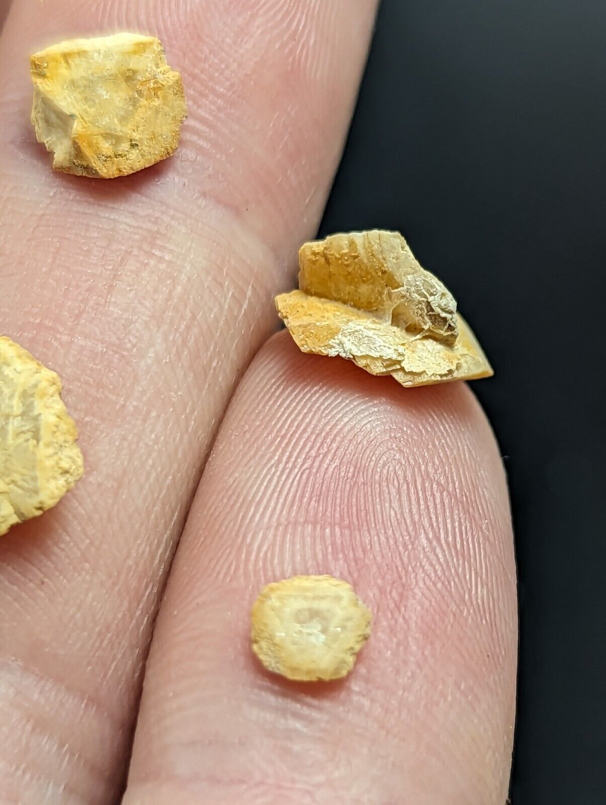 Jeffrey Quarry Ankerite + Quartz Set Ultra Rare and Unique Arkansas Old Stock - Collectibles:Rocks Fossils &