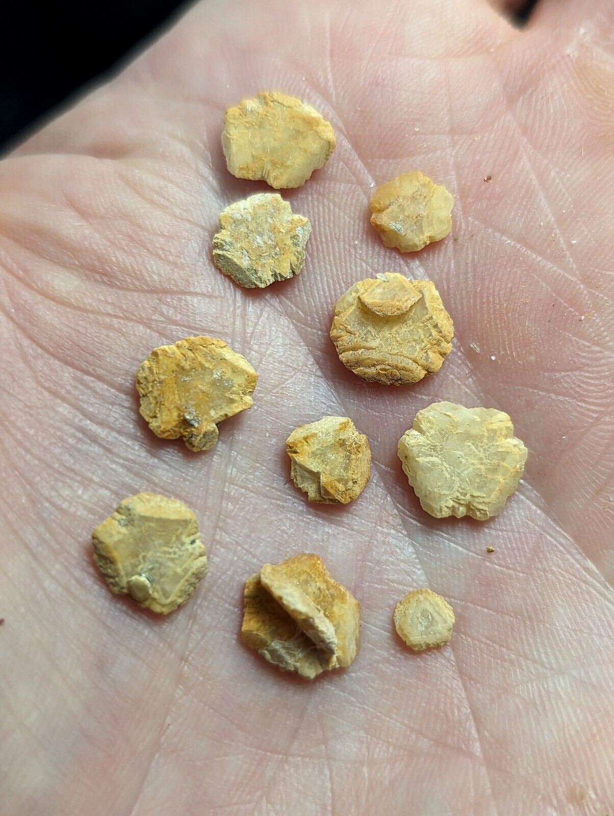 Jeffrey Quarry Ankerite + Quartz Set Ultra Rare and Unique Arkansas Old Stock - Collectibles:Rocks Fossils &