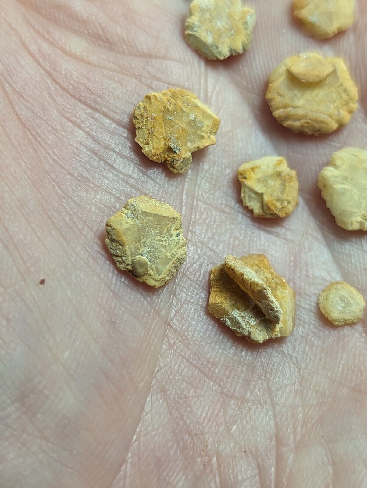 Jeffrey Quarry Ankerite + Quartz Set Ultra Rare and Unique Arkansas Old Stock - Collectibles:Rocks Fossils &