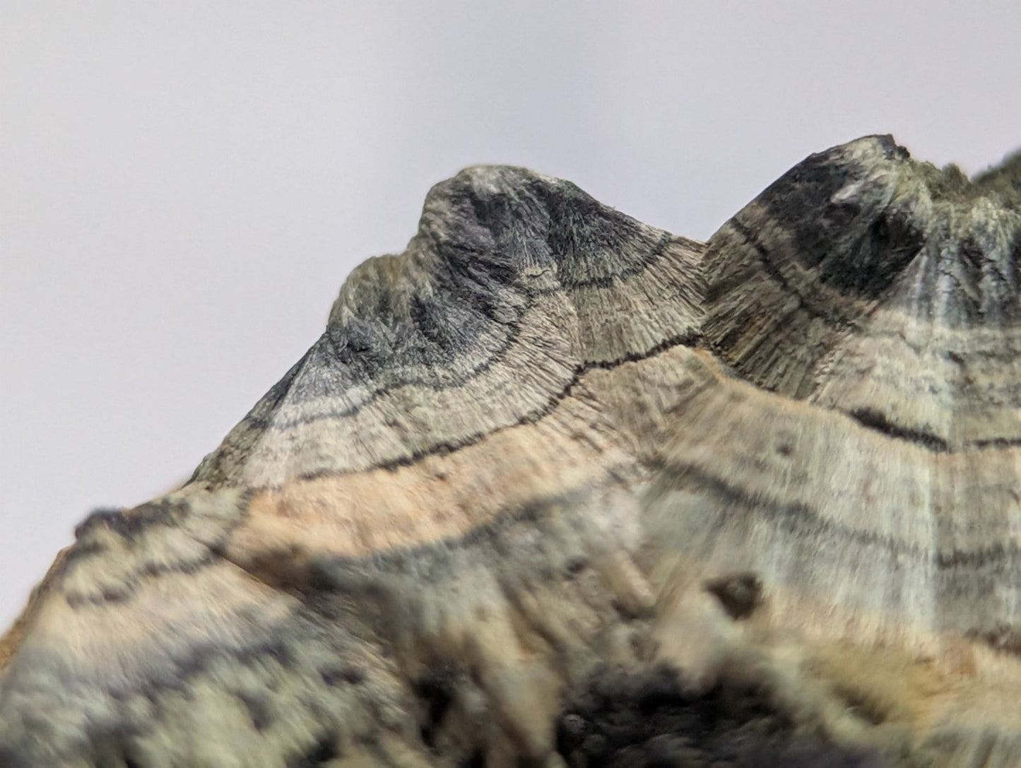 A rugged, layered stone with earthy tones of gray, beige, and black, featuring natural striations and a rough, textured surface.