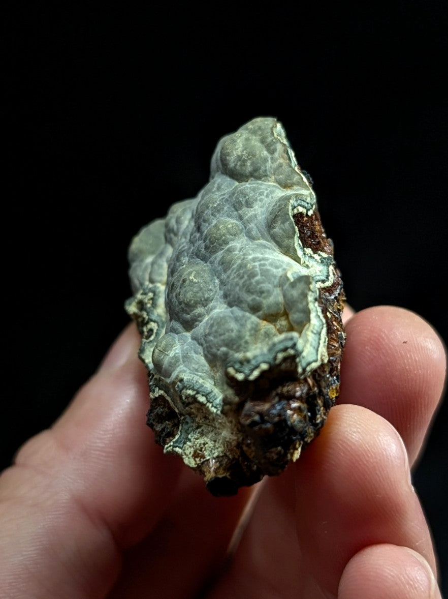 A textured, irregularly shaped mineral specimen with a mottled greenish-gray surface and dark brown base.