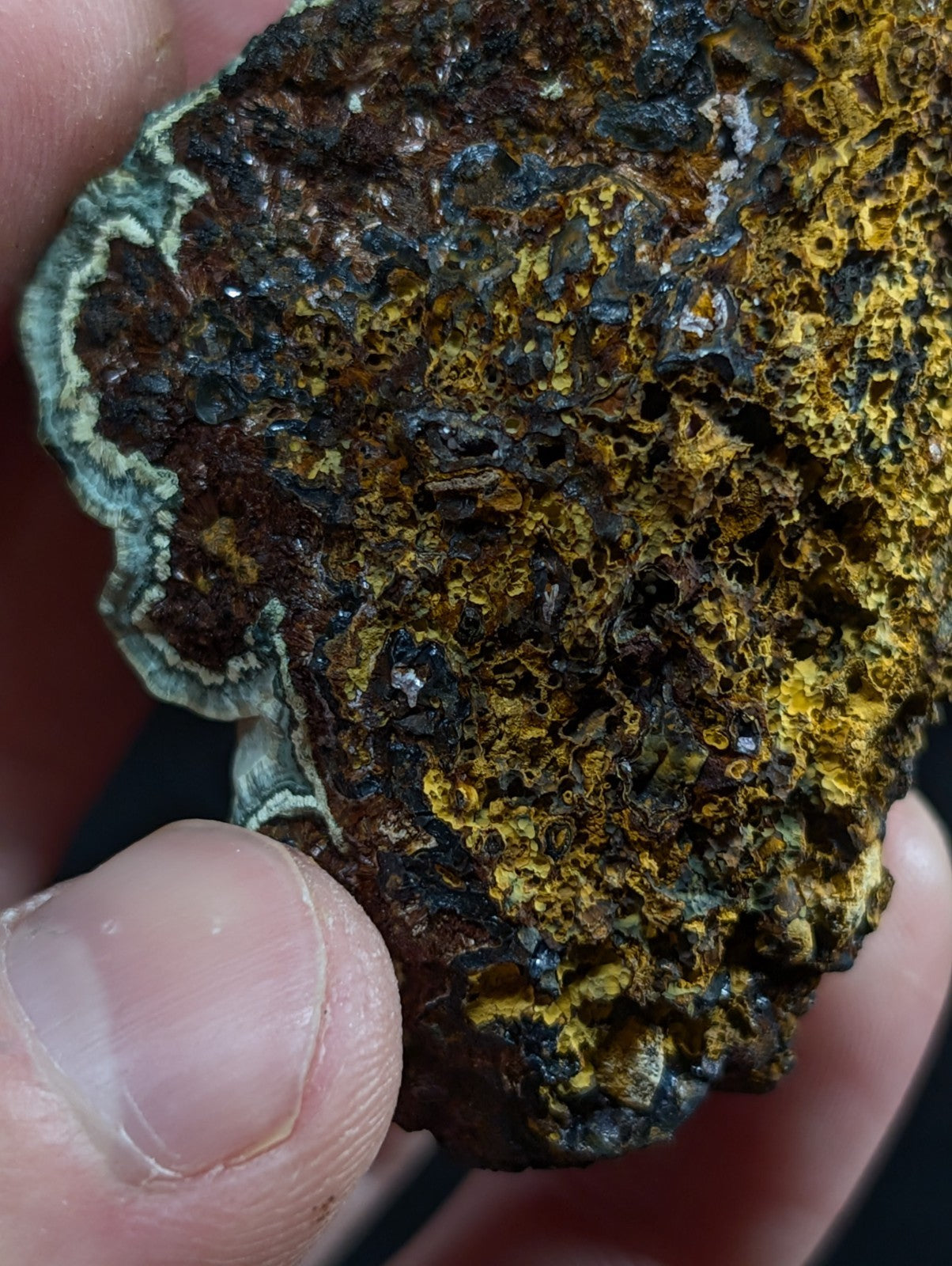 A rugged, irregularly shaped piece of mineral with a textured surface displaying patches of deep brown, vibrant yellow, and dark black hues.