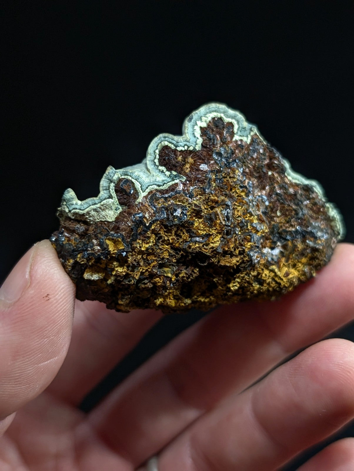 A hand holds a rugged, irregularly shaped piece of mineral with a textured surface featuring patches of dark brown and golden-yellow hues bordered by a distinct light greenish-blue edge.