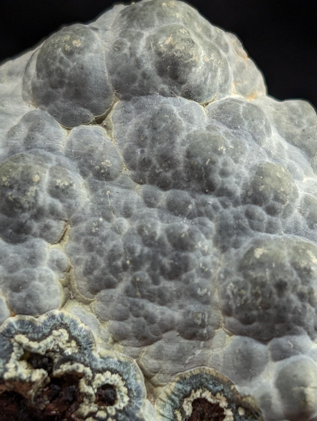 Gray, bumpy geode with a textured surface and circular patterns.