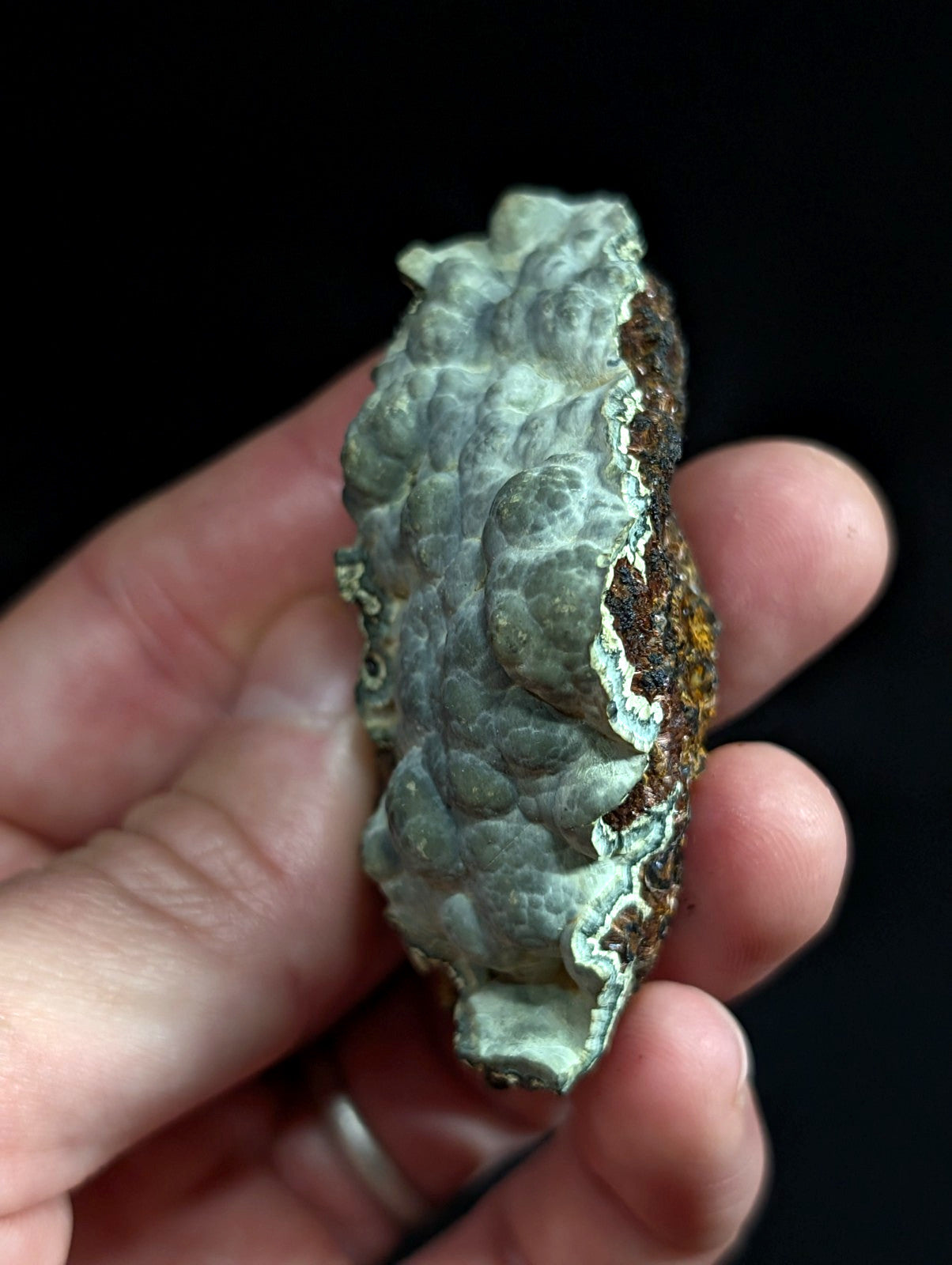 A textured, light greenish-gray fossilized shell fragment with patches of rust-colored corrosion along its edge.