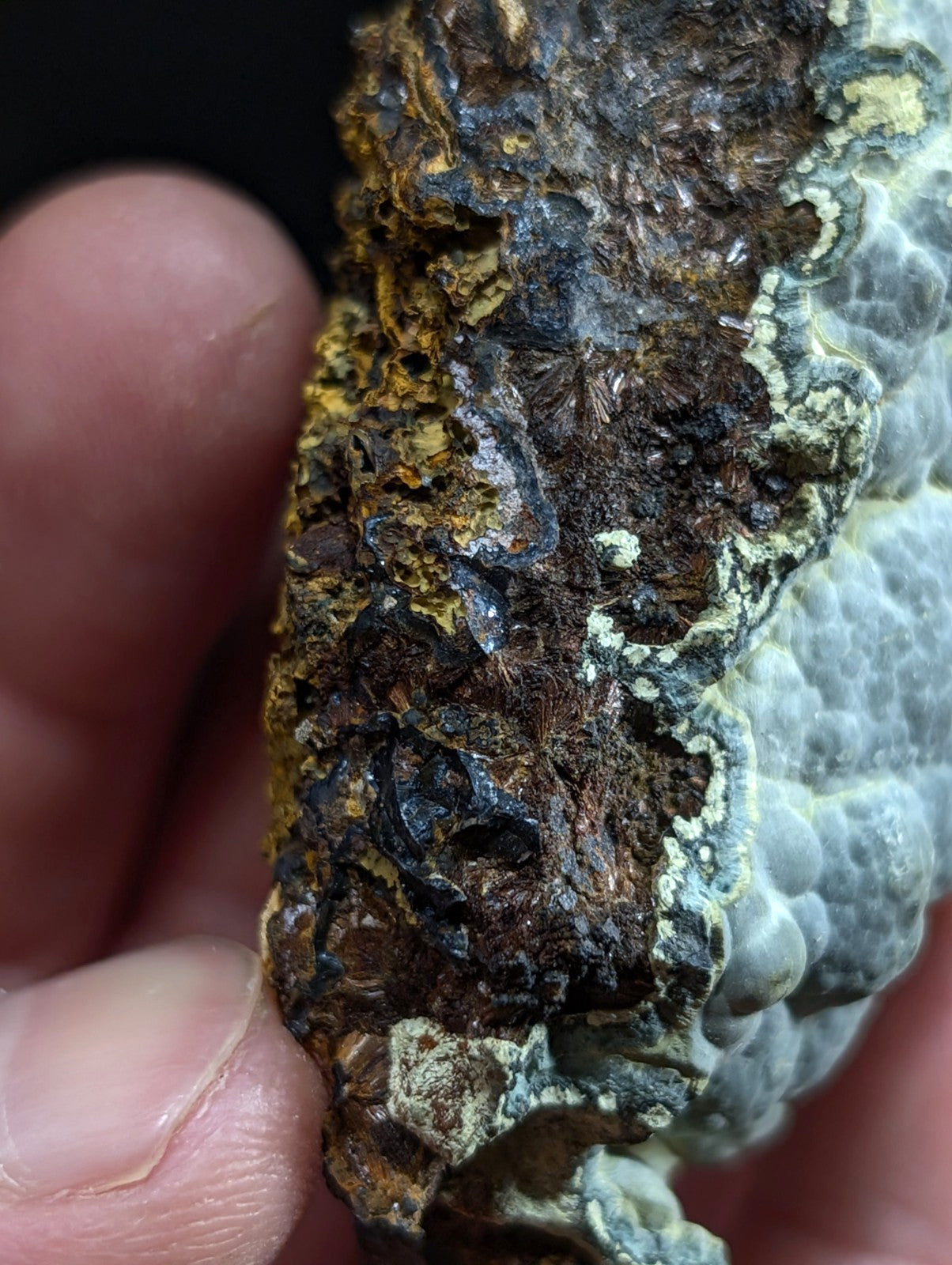 A rugged, multi-toned piece of natural rock with a textured surface featuring patches of dark brown, yellowish-orange, and gray-blue hues.