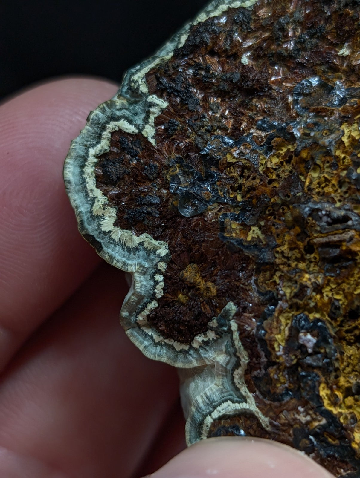 A hand holds a textured, layered mineral specimen with intricate patterns of brown, greenish-blue, and yellow hues.