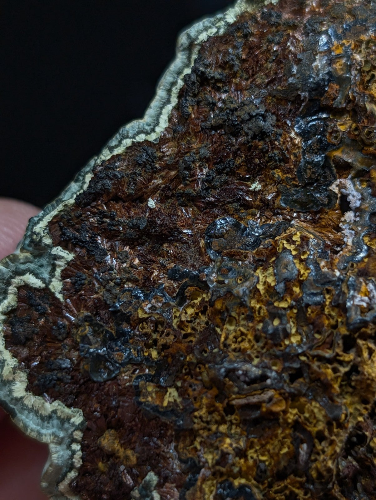 A rugged, multi-toned mineral specimen with a textured surface featuring patches of deep brown, vibrant orange-yellow, and dark black, bordered by a distinct greenish-white edge.