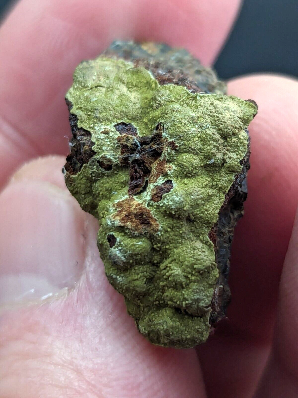 Kidwellite Beraunite etc (VERY RARE 3 Oaks Gap Polk Co. Arkansas) - Collectibles:Rocks Fossils & Minerals:Crystals
