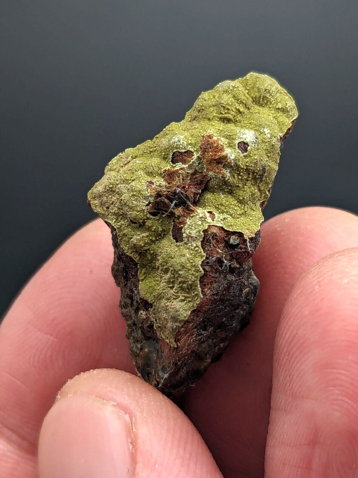 Kidwellite Beraunite etc (VERY RARE 3 Oaks Gap Polk Co. Arkansas) - Collectibles:Rocks Fossils & Minerals:Crystals