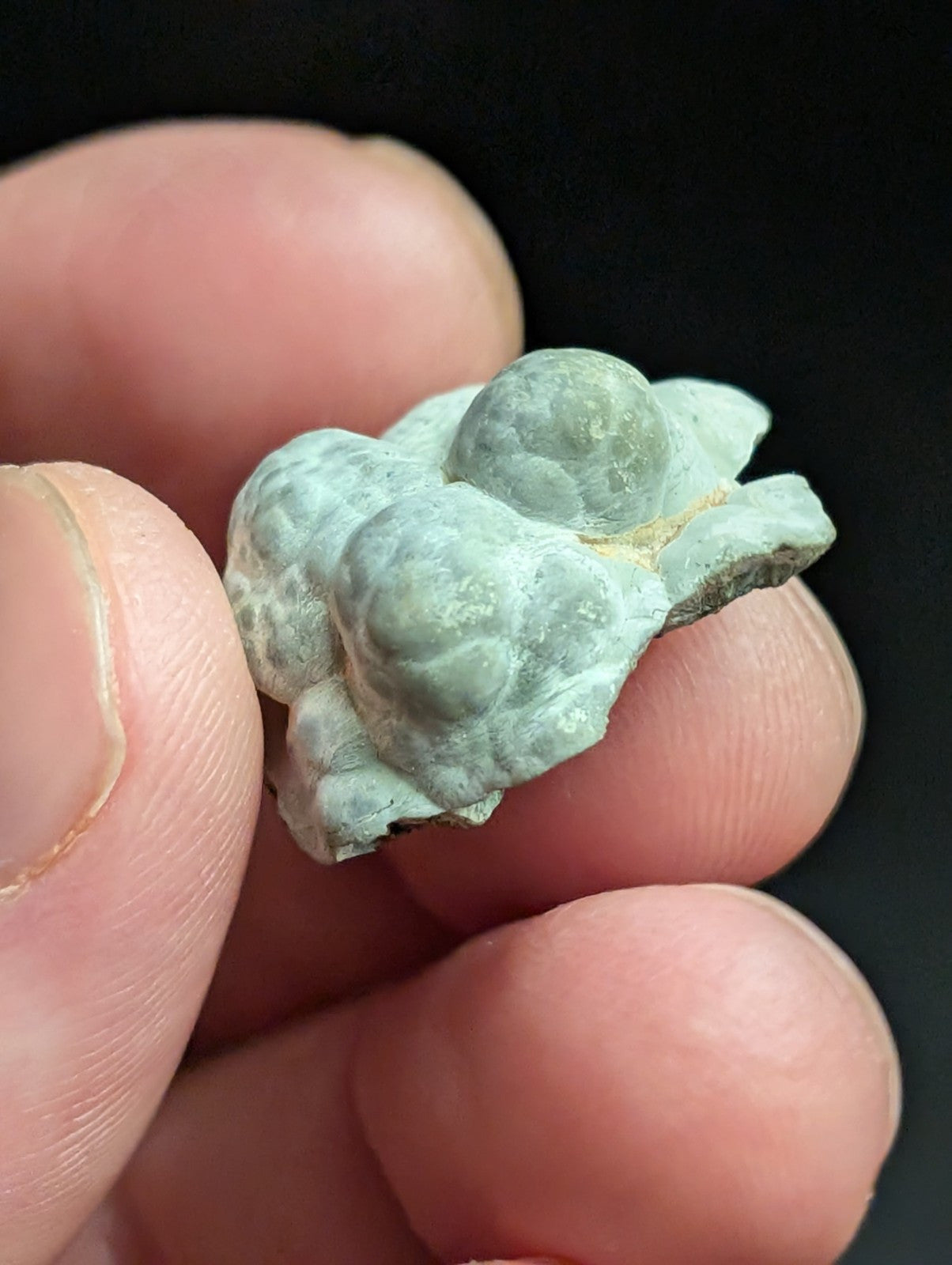 Kidwellite Dufrenite Beraunite etc (VERY RARE 3 Oaks Gap Polk Co. Arkansas) - Collectibles:Rocks Fossils &