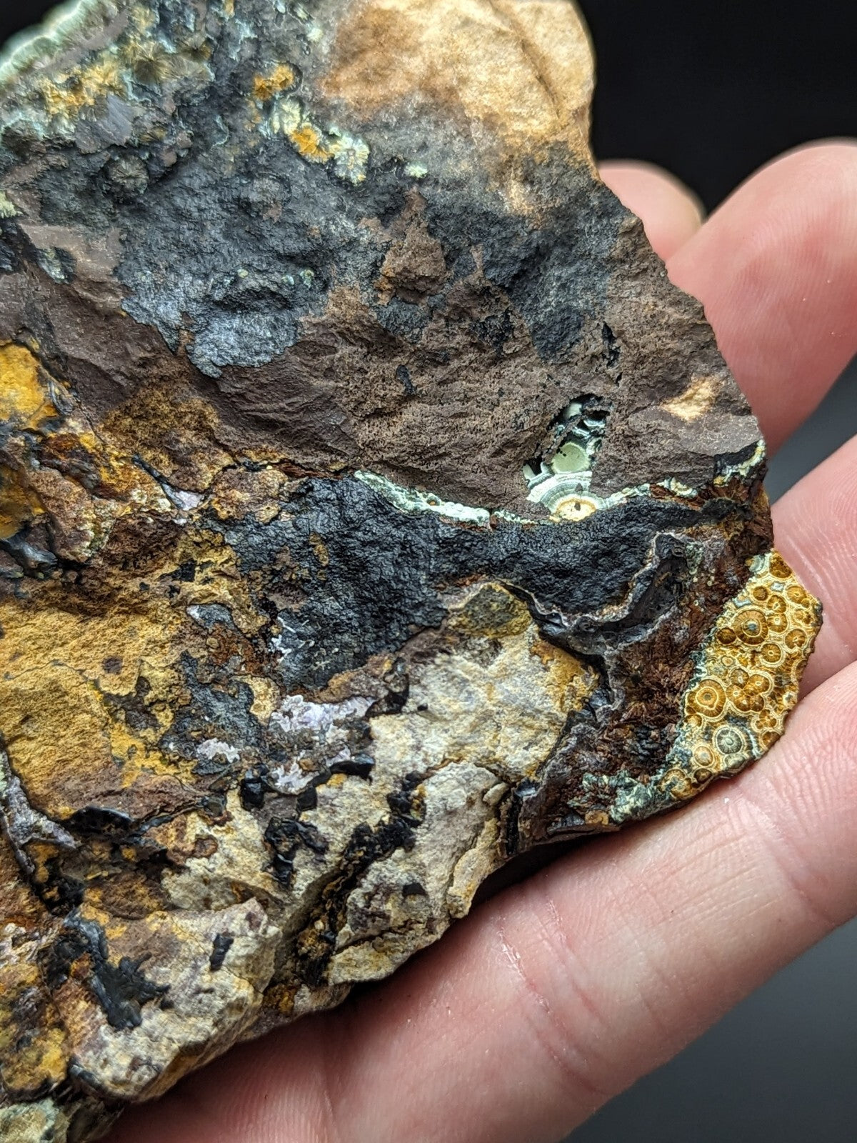 A rugged, multi-colored rock specimen featuring patches of dark gray, earthy brown, and vibrant yellow-orange lichen-like formations.