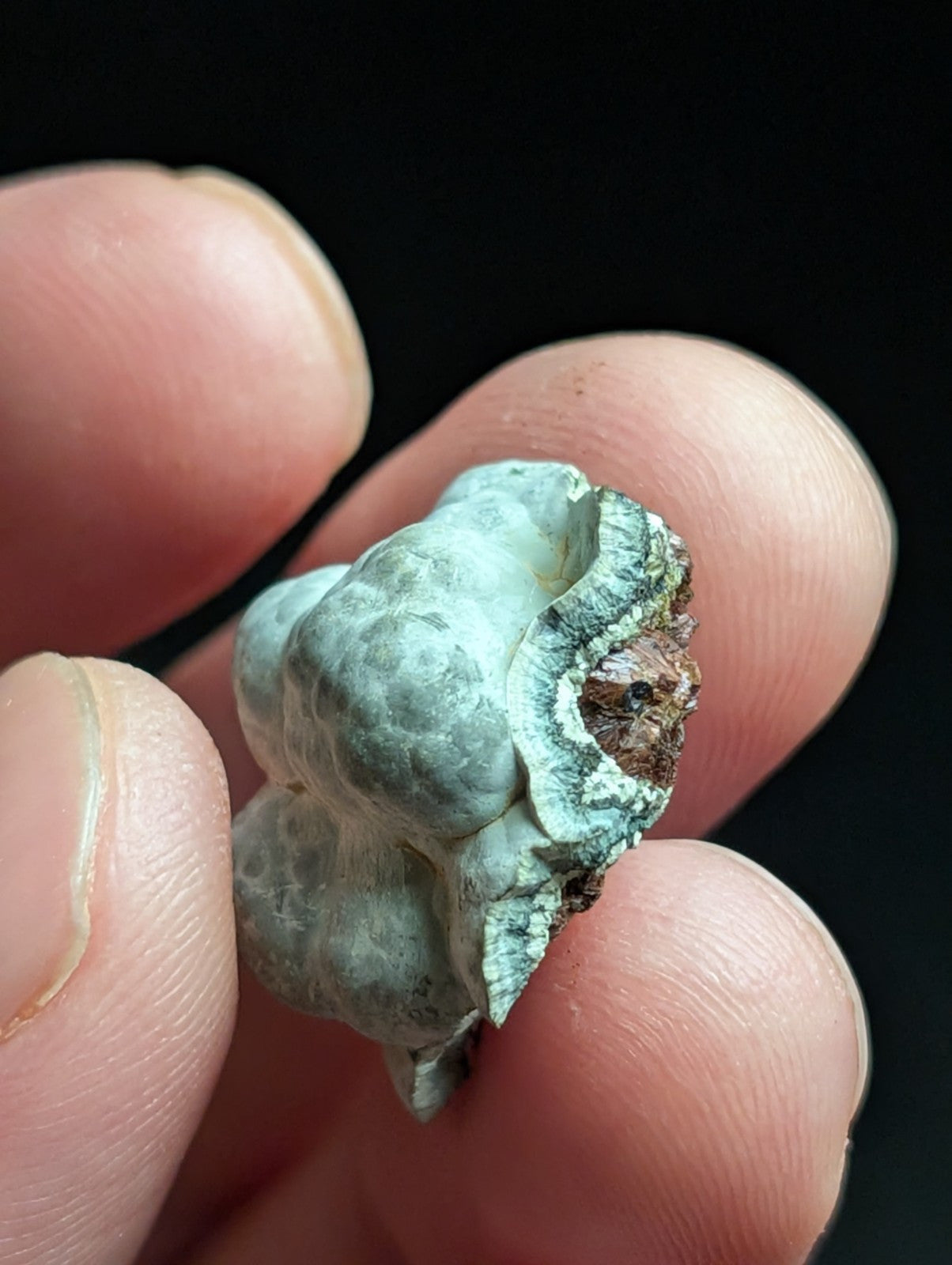Kidwellite Dufrenite Beraunite etc (VERY RARE 3 Oaks Gap Polk Co. Arkansas) - Collectibles:Rocks Fossils &