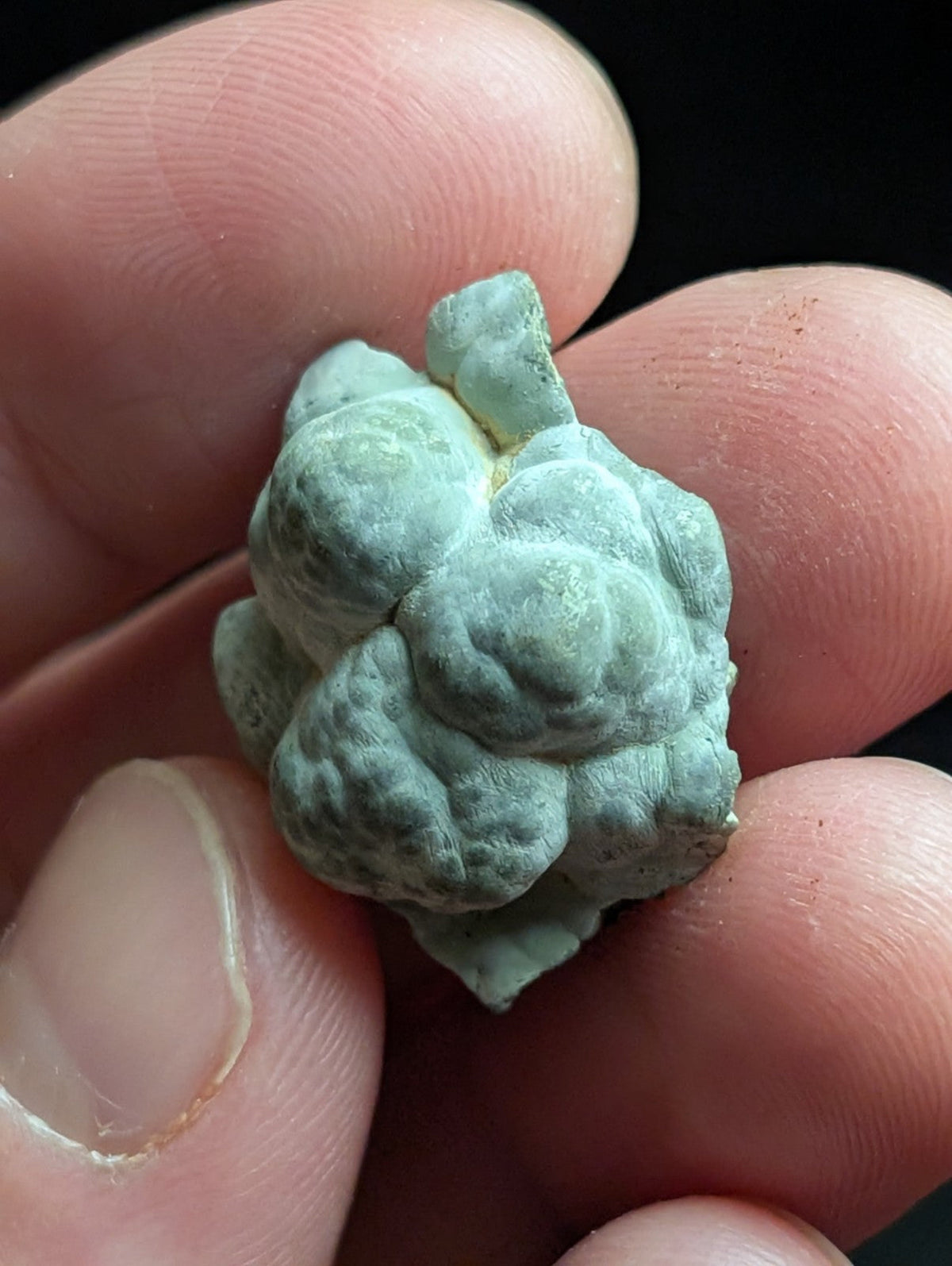 Kidwellite Dufrenite Beraunite etc (VERY RARE 3 Oaks Gap Polk Co. Arkansas) - Collectibles:Rocks Fossils &