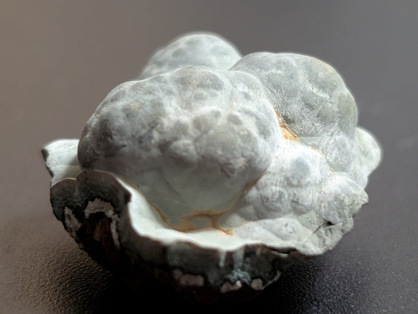 Kidwellite Dufrenite Beraunite etc (VERY RARE 3 Oaks Gap Polk Co. Arkansas) - Collectibles:Rocks Fossils &