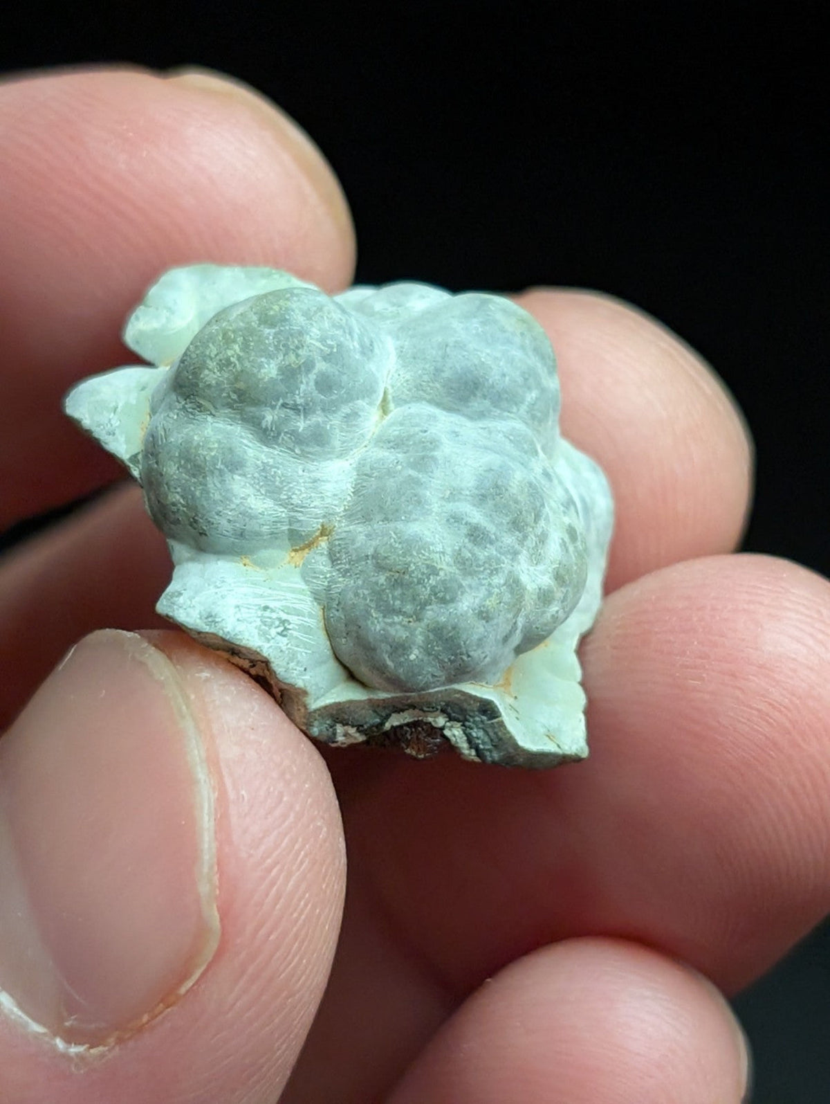 Kidwellite Dufrenite Beraunite etc (VERY RARE 3 Oaks Gap Polk Co. Arkansas) - Collectibles:Rocks Fossils &