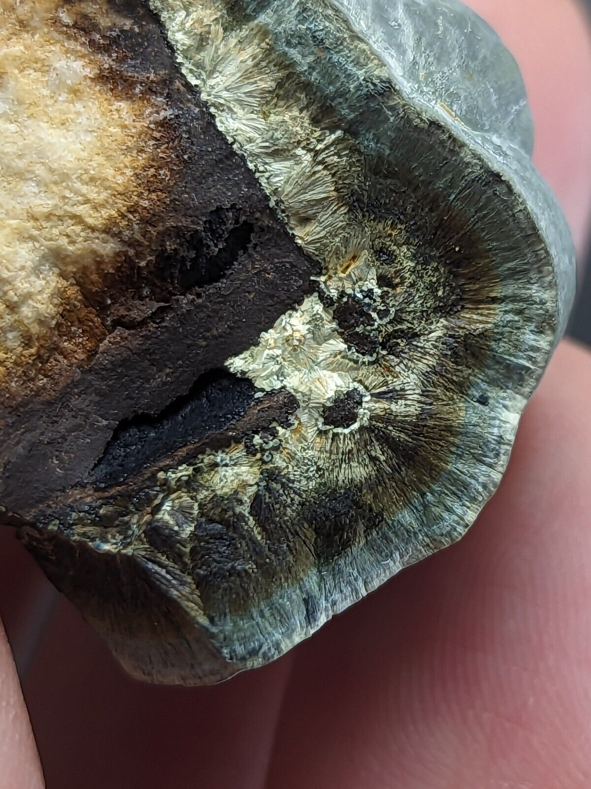 Kidwellite Dufrenite Beraunite etc (VERY RARE 3 Oaks Gap Polk Co. Arkansas) - Collectibles:Rocks Fossils &