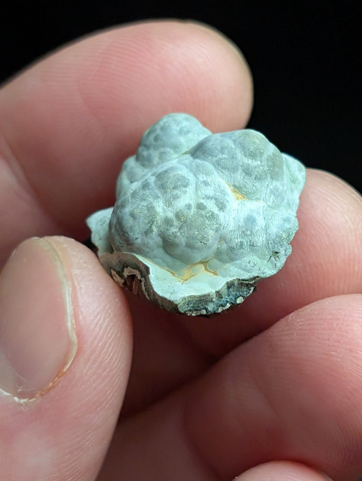 Kidwellite Dufrenite Beraunite etc (VERY RARE 3 Oaks Gap Polk Co. Arkansas) - Collectibles:Rocks Fossils &