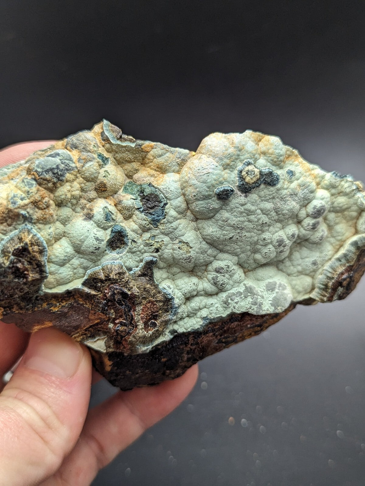 A textured, irregularly shaped piece of mineral with a mottled surface featuring patches of pale greenish-gray lichen-like growths over darker brown and rust-colored areas.