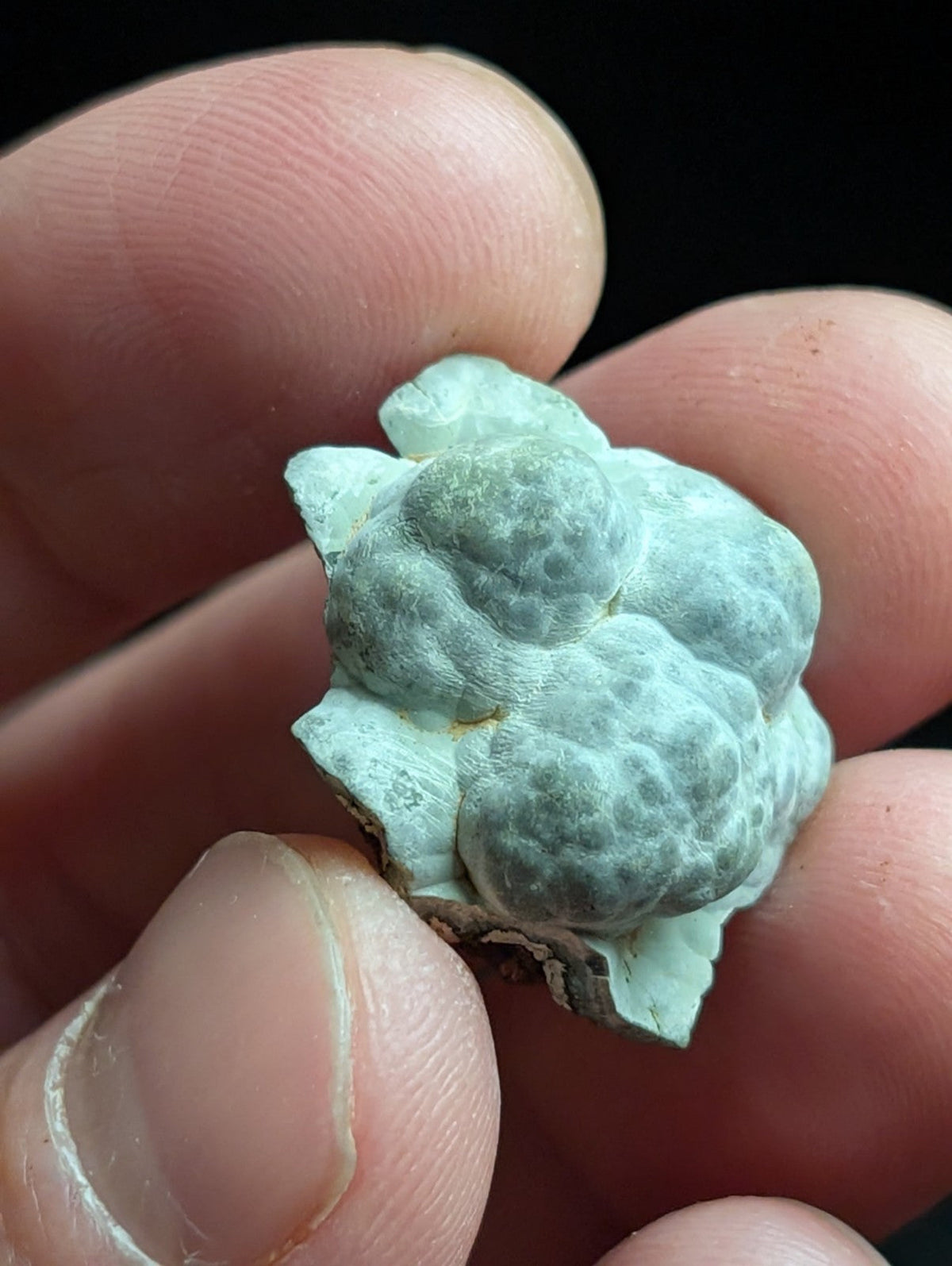 Kidwellite Dufrenite Beraunite etc (VERY RARE 3 Oaks Gap Polk Co. Arkansas) - Collectibles:Rocks Fossils &