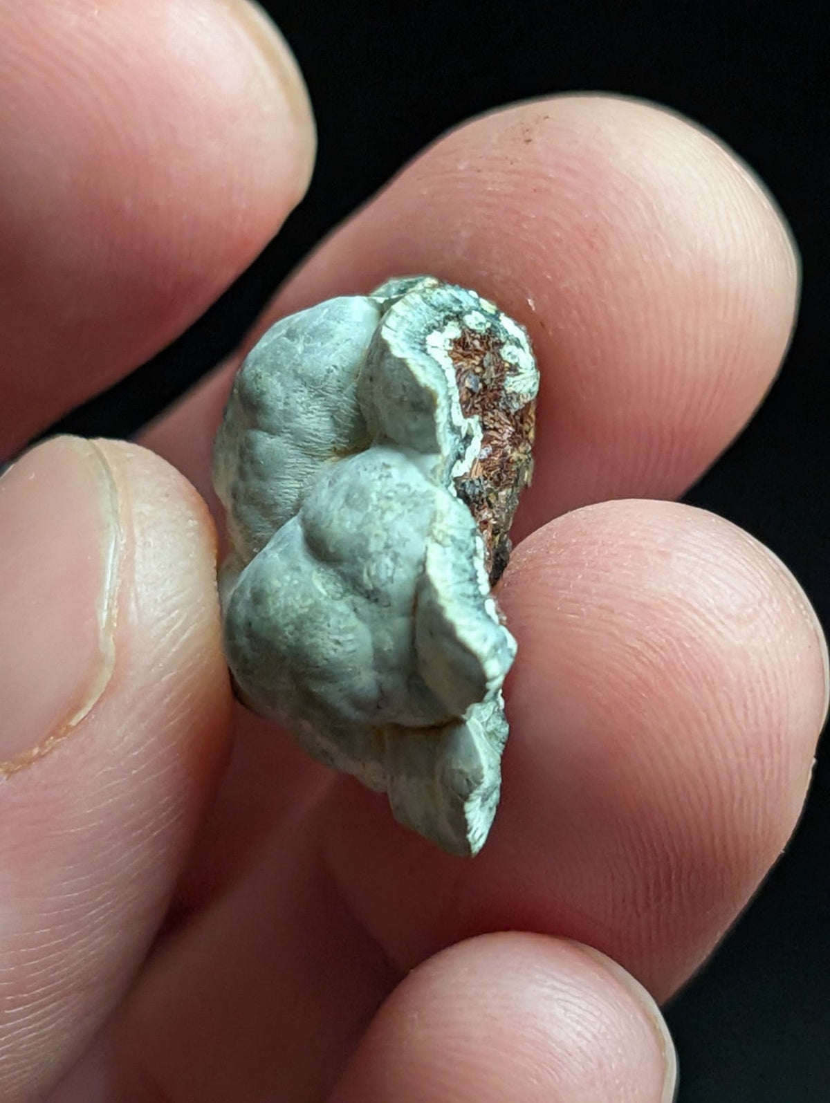 Kidwellite Dufrenite Beraunite etc (VERY RARE 3 Oaks Gap Polk Co. Arkansas) - Collectibles:Rocks Fossils &