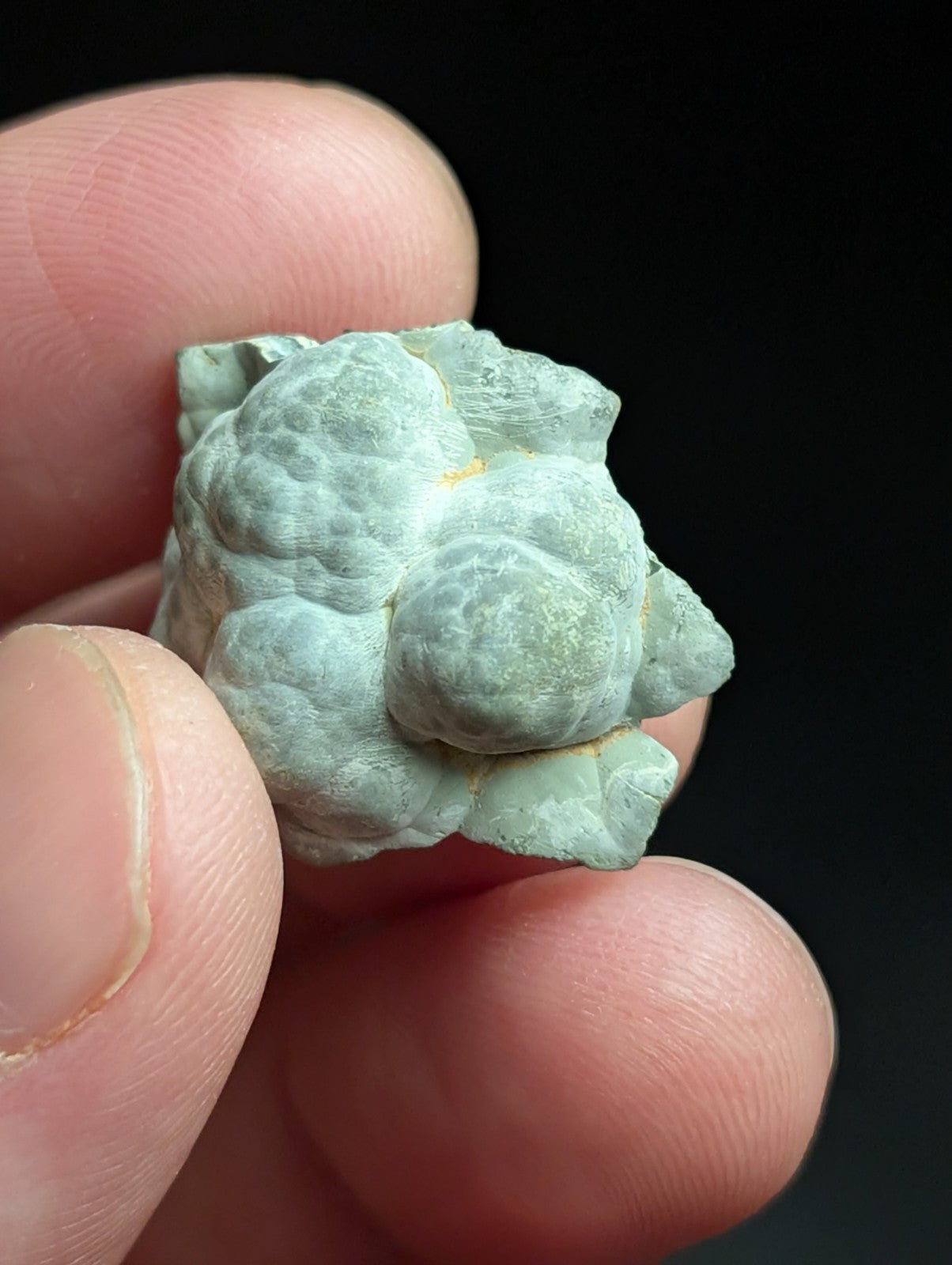 Kidwellite Dufrenite Beraunite etc (VERY RARE 3 Oaks Gap Polk Co. Arkansas) - Collectibles:Rocks Fossils &