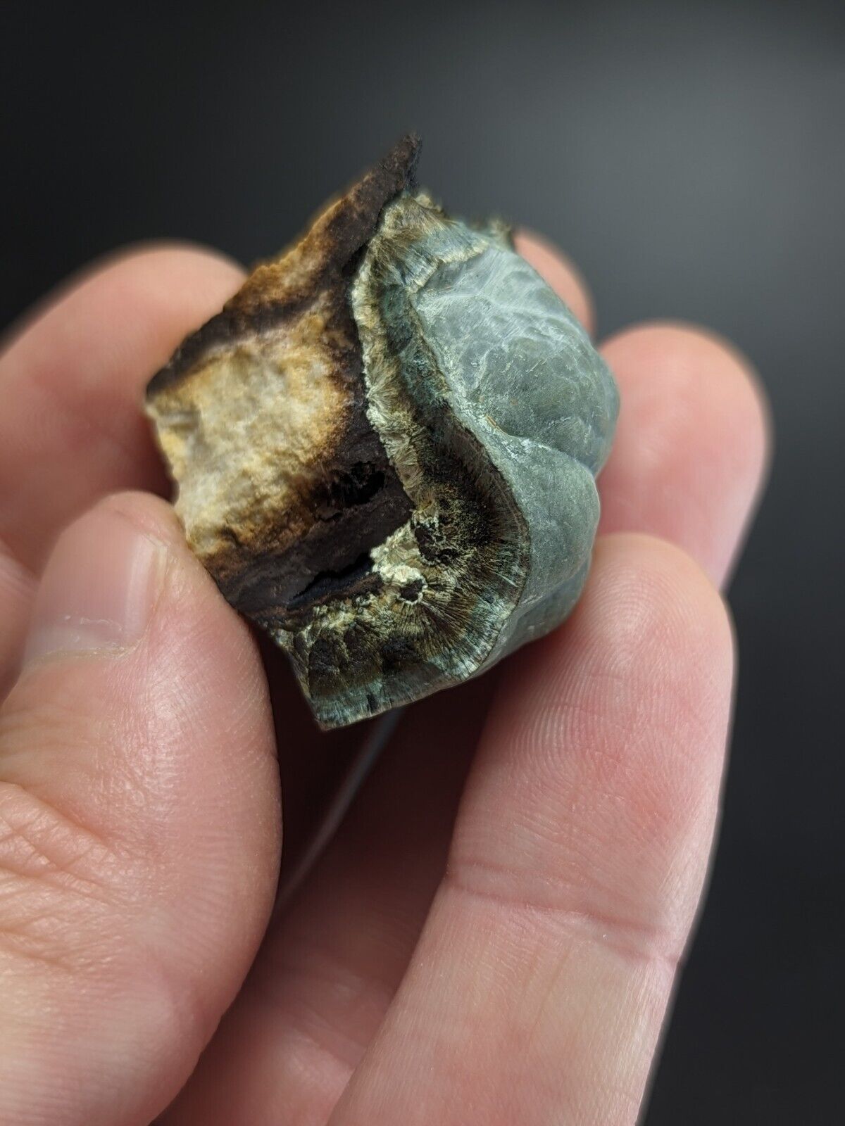 Kidwellite Dufrenite Beraunite etc (VERY RARE 3 Oaks Gap Polk Co. Arkansas) - Collectibles:Rocks Fossils &