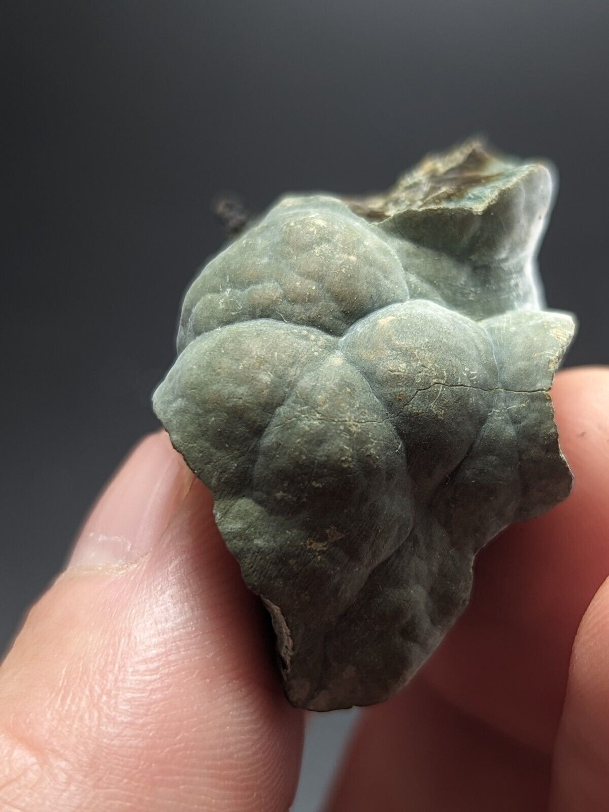 Kidwellite Dufrenite Beraunite etc (VERY RARE 3 Oaks Gap Polk Co. Arkansas) - Collectibles:Rocks Fossils &
